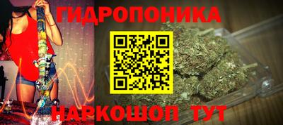 гидра Кандалакша