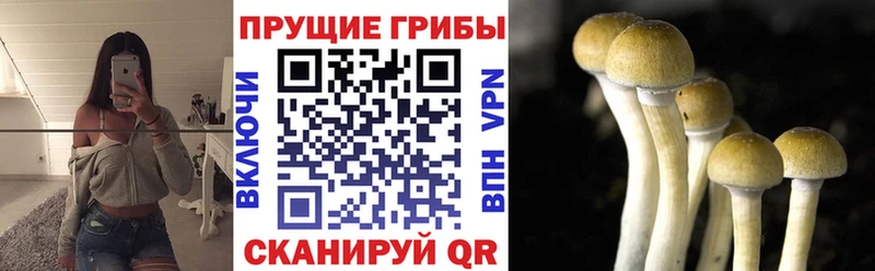 Галлюциногенные грибы Magic Shrooms Нижний Новгород