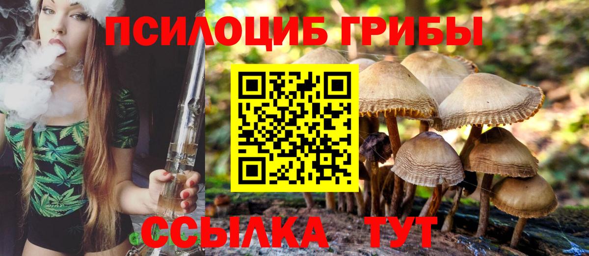 Галлюциногенные грибы Cubensis Нижний Новгород