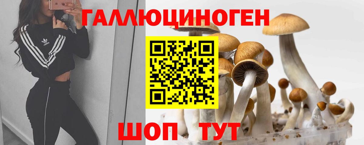 Галлюциногенные грибы Psilocybine cubensis  Вход с VPN  Нижний Новгород  Псилоцибиновые грибы ЛСД 